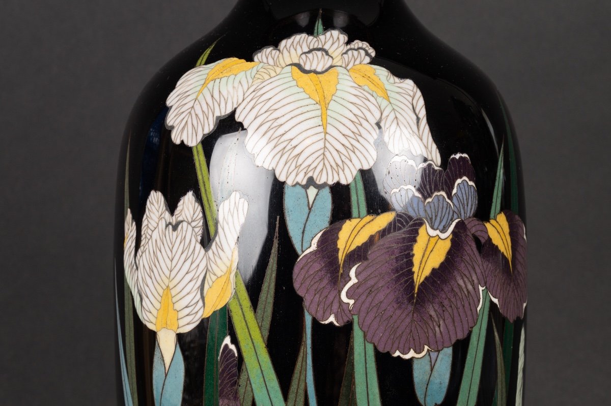 Vase With Iris, Cloisonné, Japan, Meiji Era (1868-1912).-photo-3