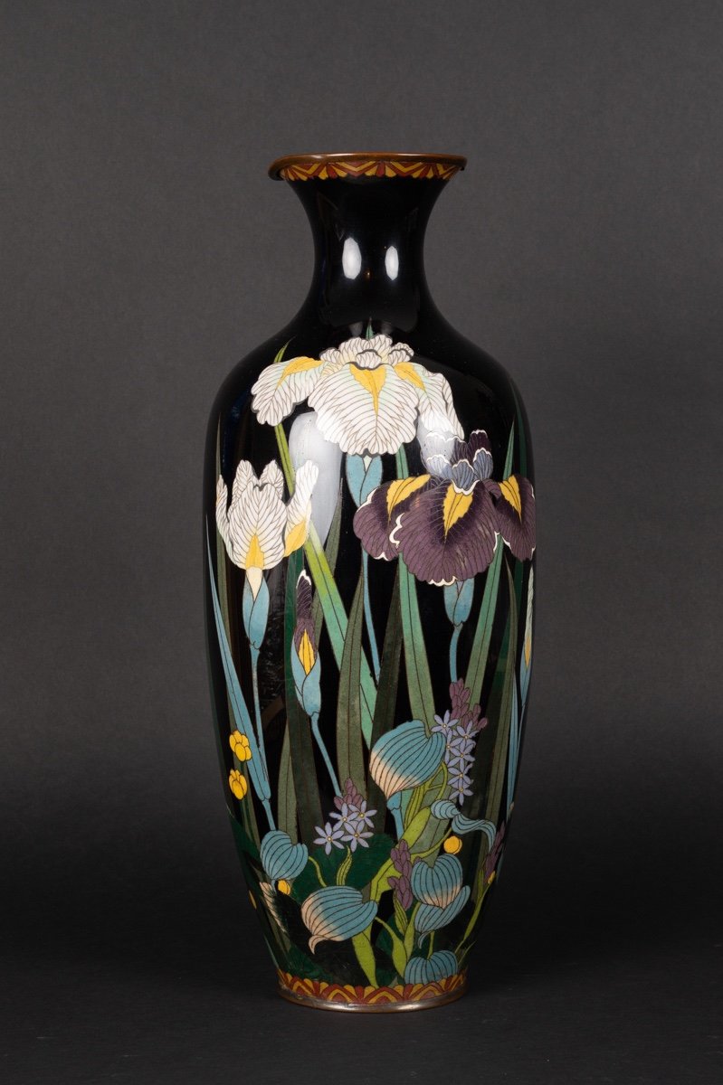 Vase With Iris, Cloisonné, Japan, Meiji Era (1868-1912).