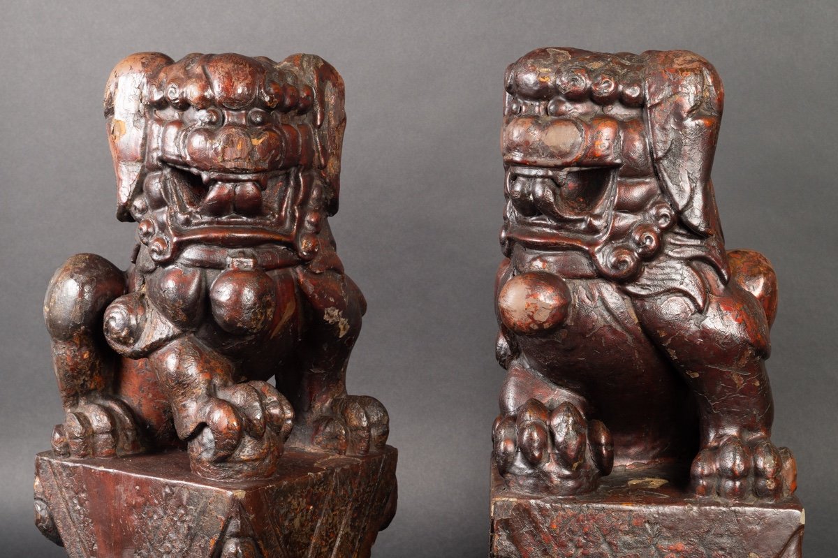 Paire De Chiens Fo, Chine, Dynastie Qing, 19e Siècle.  -photo-2