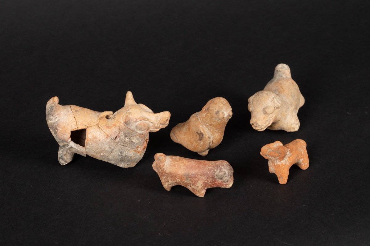 Whistles - Five Animals, Chorrera Culture (1300 - 300 Bc), Ecuador, Pre-columbian Ceramics-photo-2