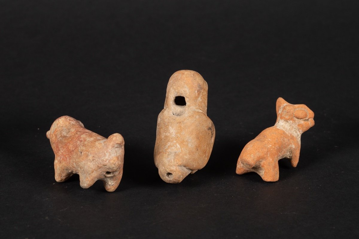 Whistles - Five Animals, Chorrera Culture (1300 - 300 Bc), Ecuador, Pre-columbian Ceramics-photo-2