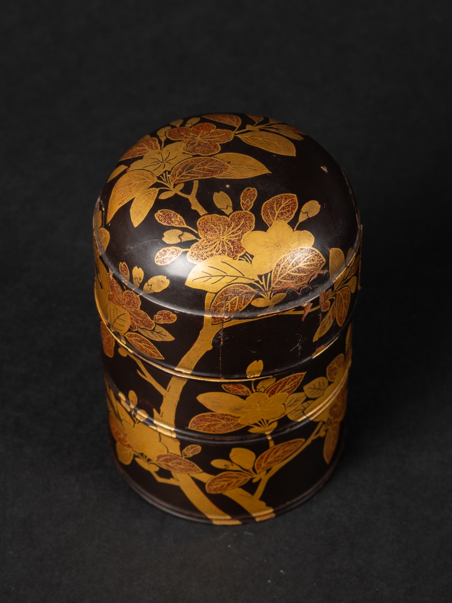 Natsume - Round Box, Maki-e Laquer, Japan, Edo Period, 18th-19th Century. -photo-2