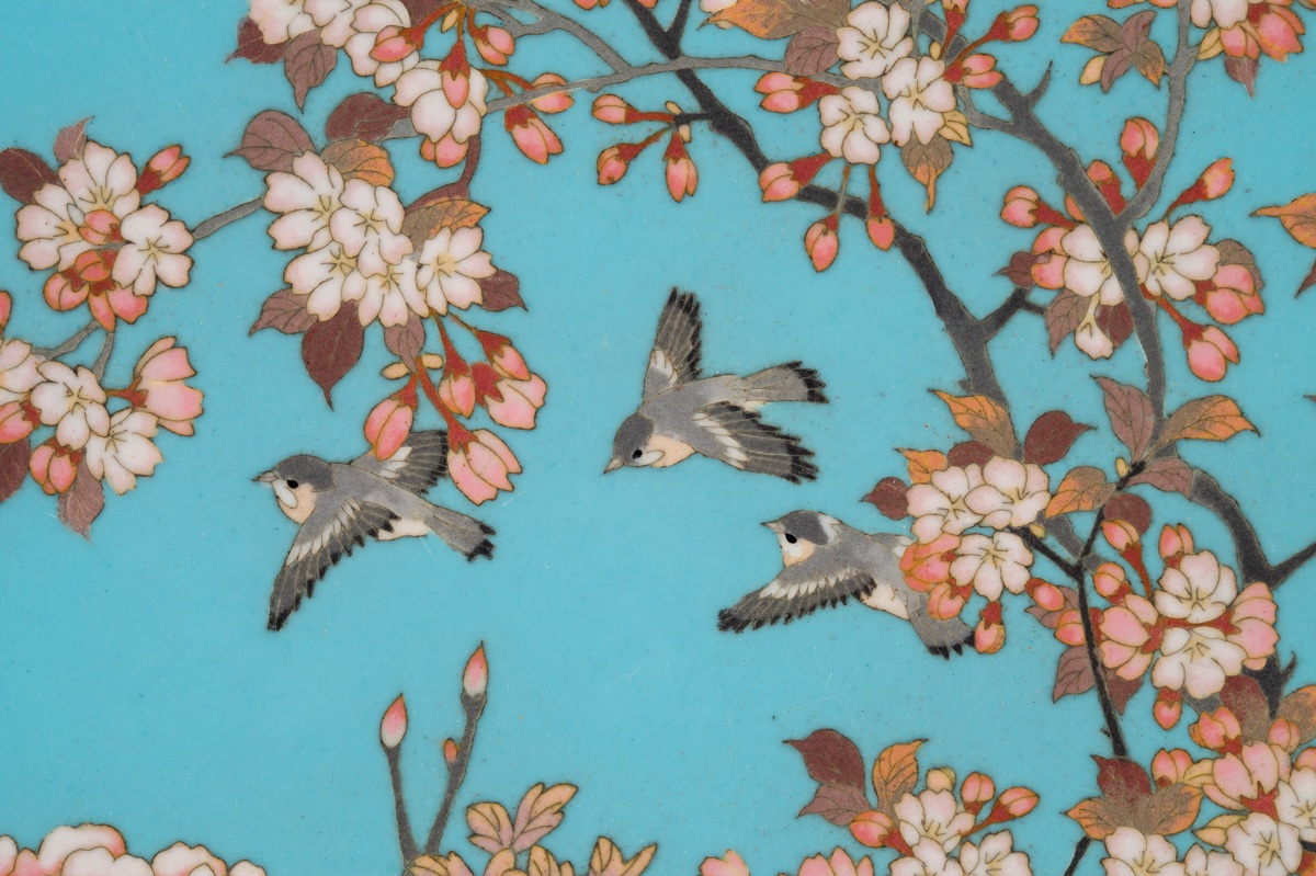 Plat avec oiseaux et fleurs, cloisonné, Japon, ère Meiji (1868-1912). -photo-3
