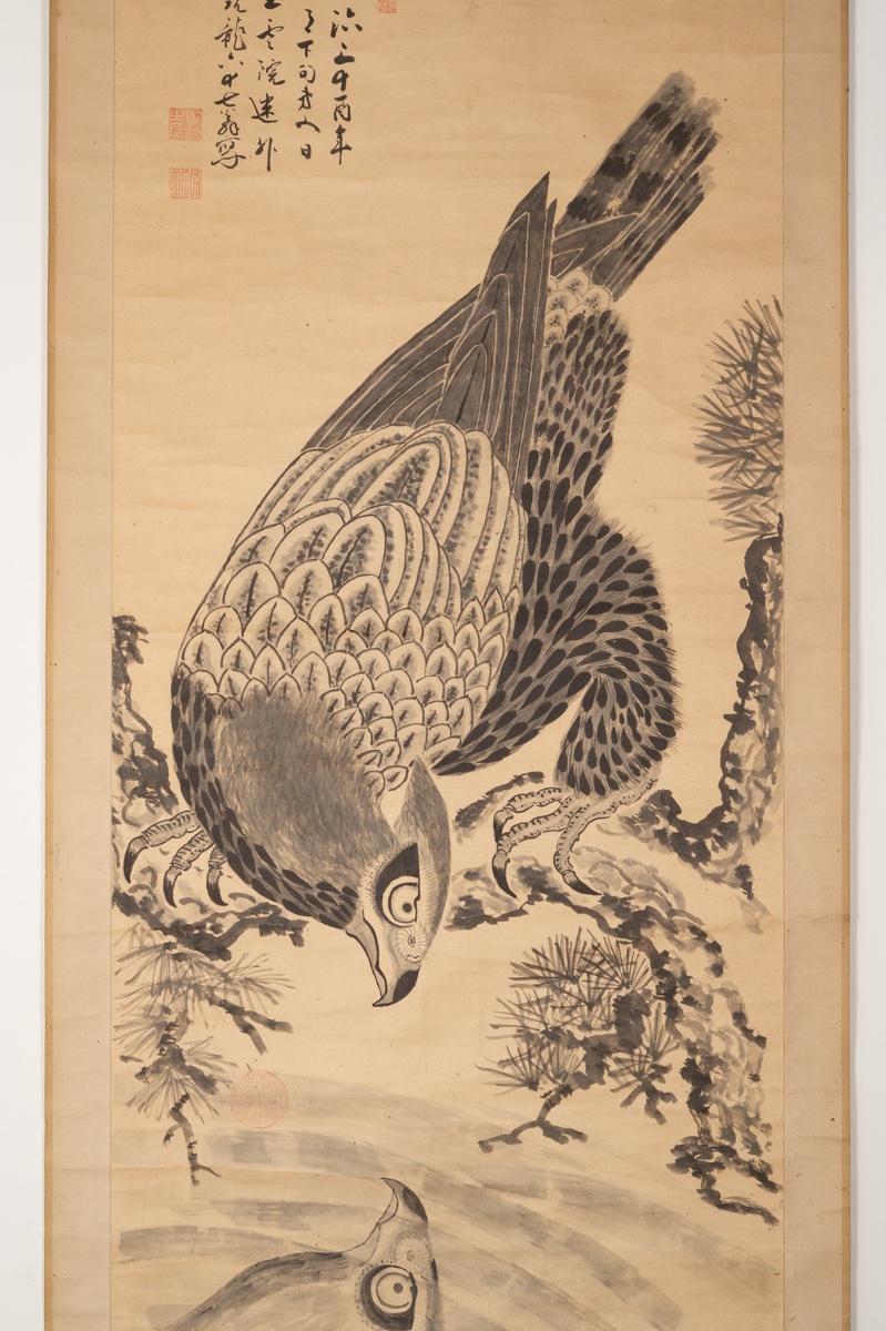 Falcon Looking At Its Reflection, Ryūzan, Kakemono, Sumi-e, Japan, Meiji Era, 1896. -photo-3