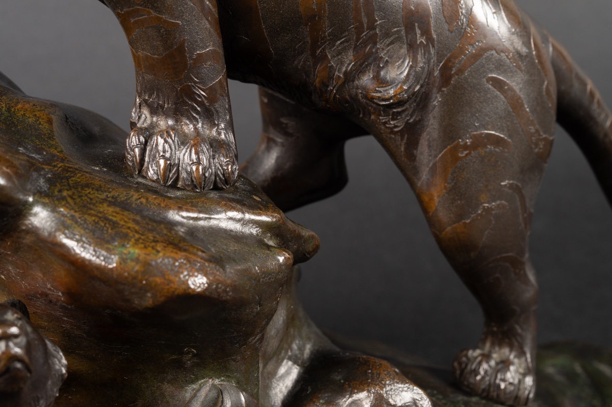 Tiger And Bear, Bronze, Japan, Meiji Era (1868-1912).  -photo-4