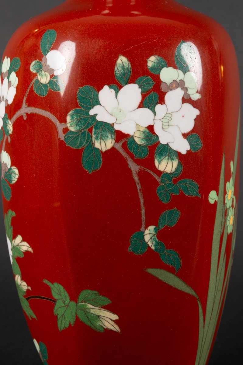 Vase With Peonies, Cloisonné, Japan, Meiji Period (1868-1912).  -photo-4