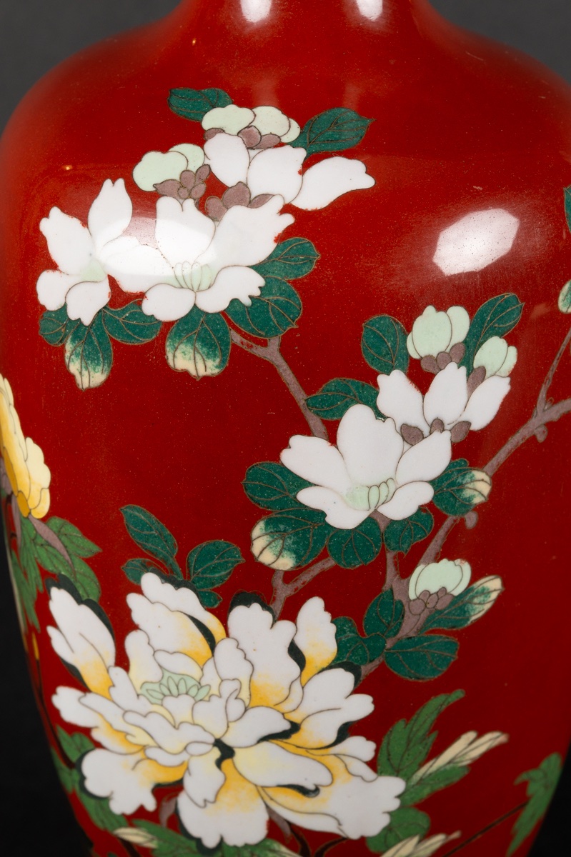 Vase With Peonies, Cloisonné, Japan, Meiji Period (1868-1912).  -photo-5