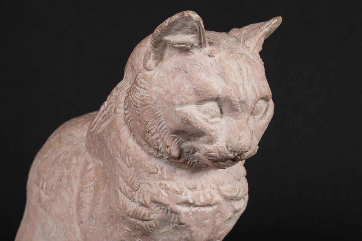 Cat, Sèvres, Terracotta, France, Early 20th Century.-photo-4