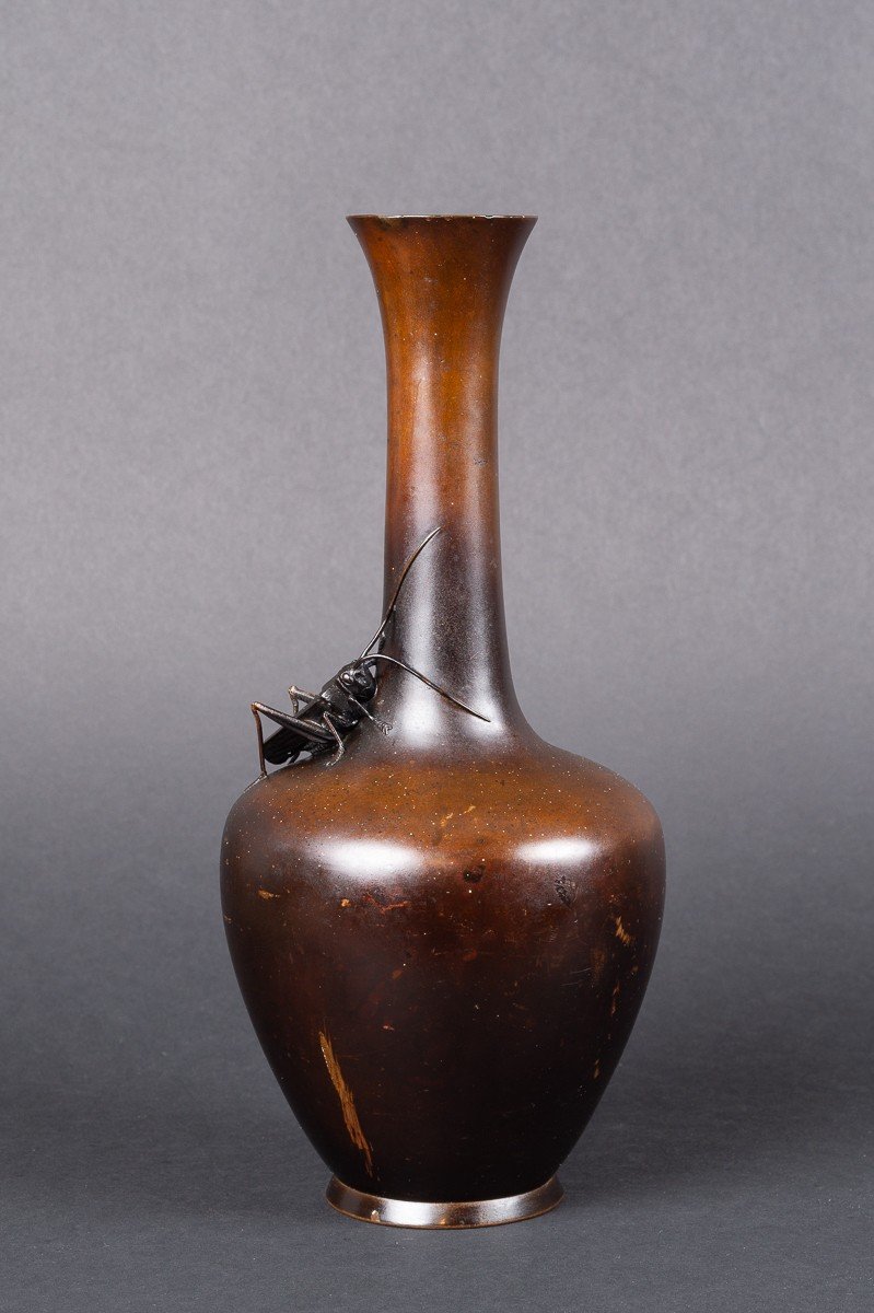 Vase Avec Sauterelle, Bronze, Japon, ère Meiji (1868-1912)-photo-4