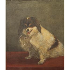 Portrait d'un Chien - Épagneul Cavalier King Charles, France, Huile Sur Toile, 19e Siècle Signé