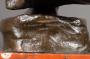 1228375-alb-65548d39c7105.jpg