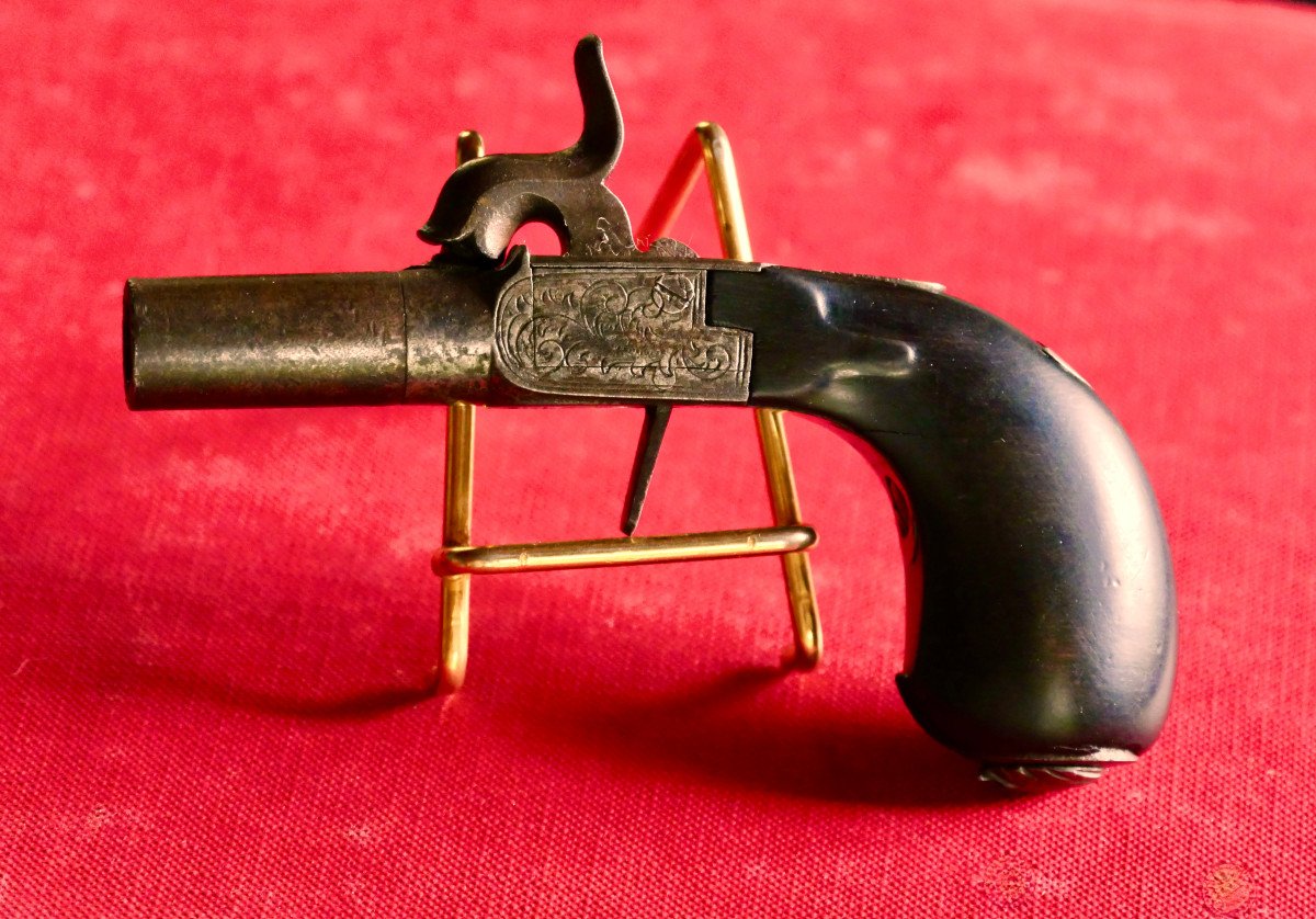 Armes à Feu en vente sur Proantic, Antiquités & Vintage - Louis  Philippe-Restauration-Charles X - 19ème Siècle