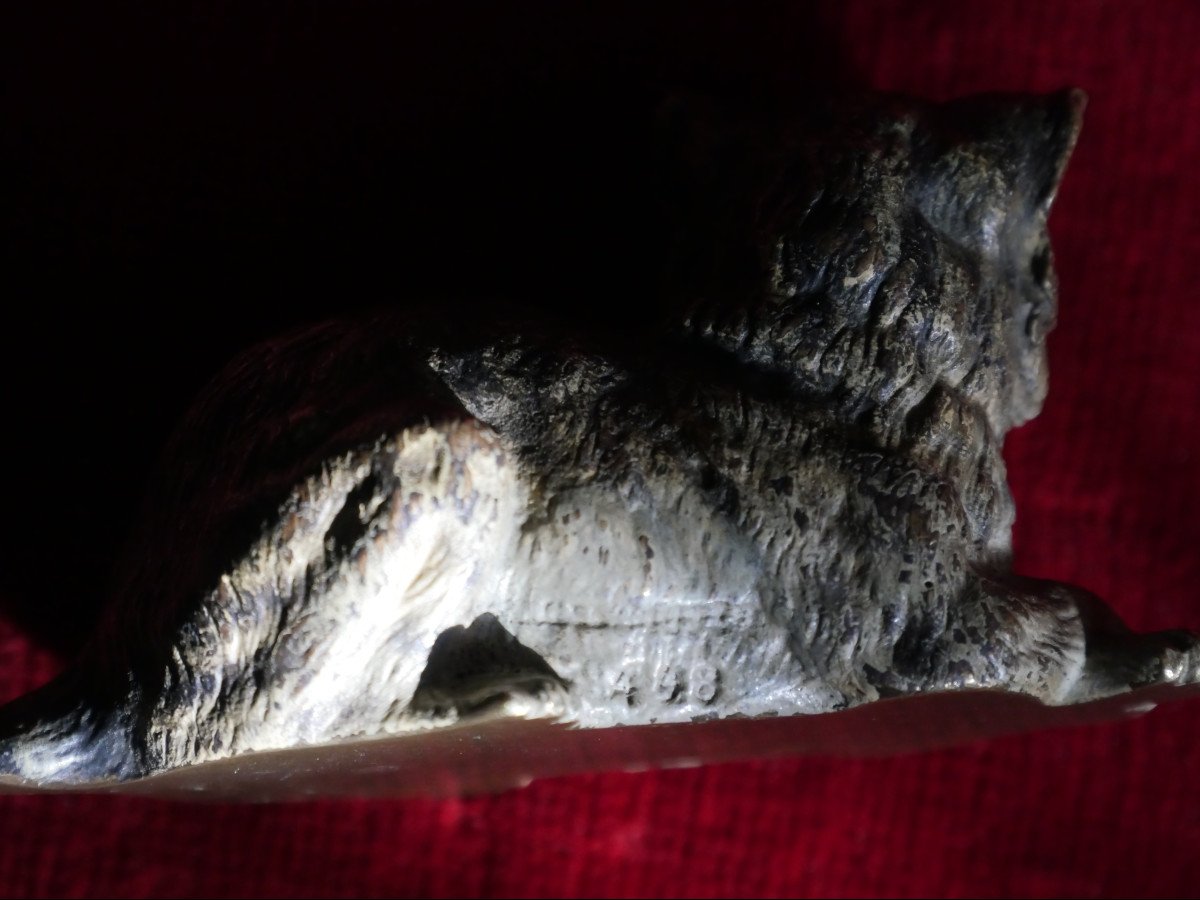 Sculpture - Bronze de Vienne - Franz Xaver Bergmann - Chat-photo-4