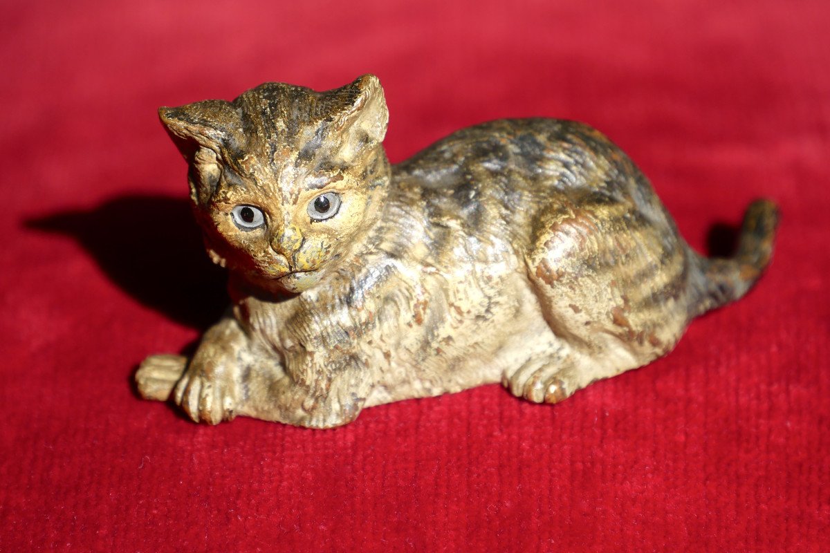 Sculpture - Bronze de Vienne - Franz Xaver Bergmann - Chat