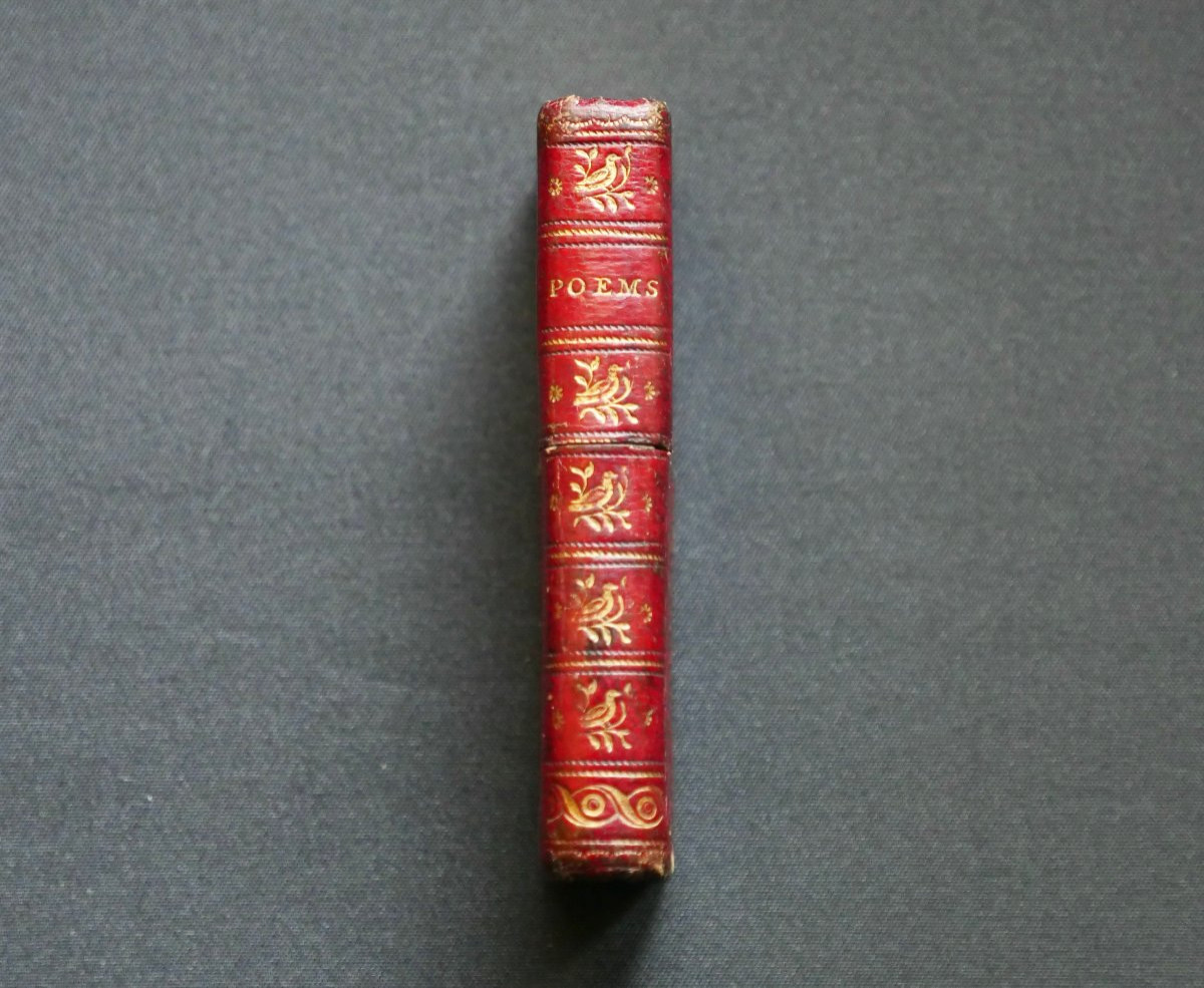 Travel Essential – Historical Souvenir Of Princess Charlotte Of Wales-photo-3