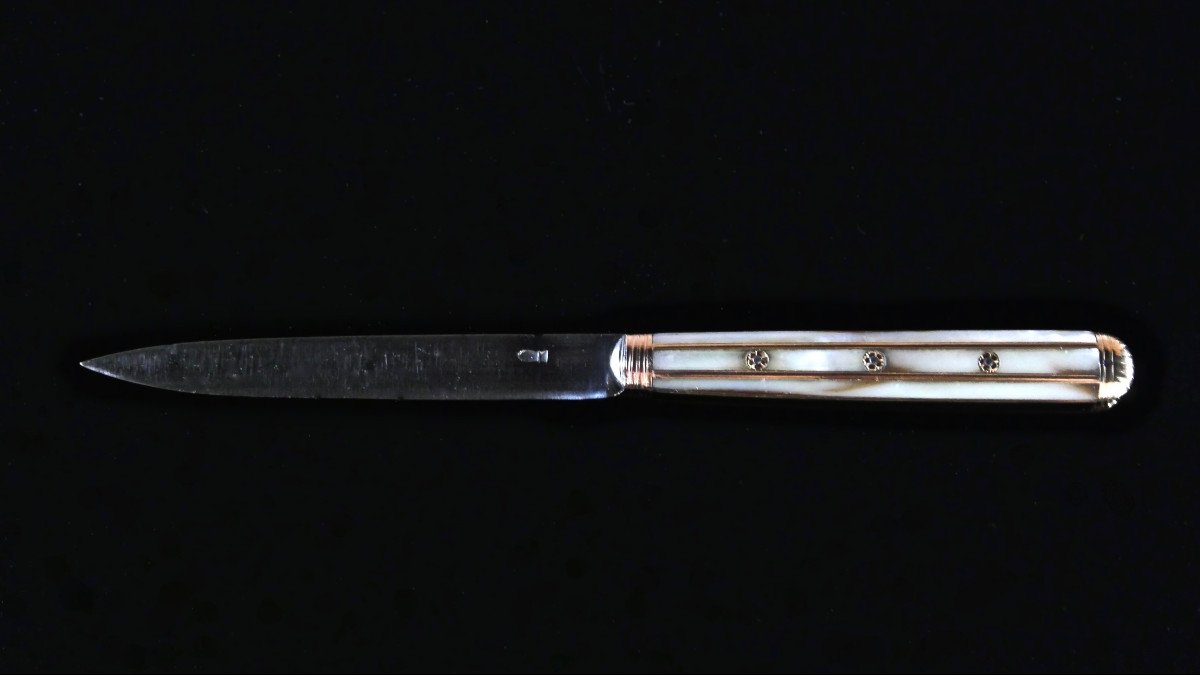 Two Travel Knives In A Shagreen Case-photo-3