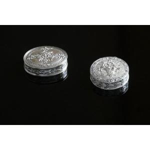 Pill Box - Box - Silver Case