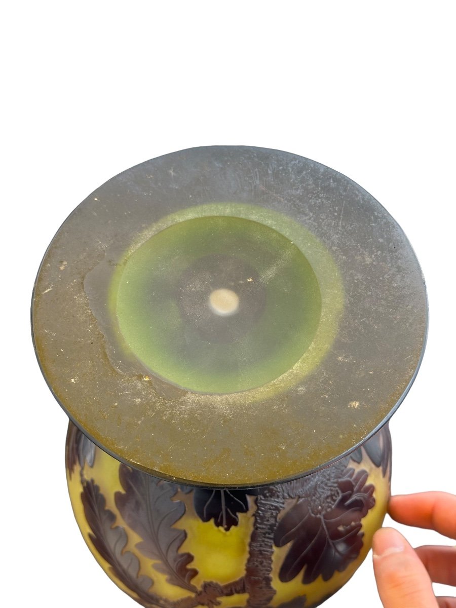 Émile Gallé & Vase Aux Ramures De Chêne Et Glands -photo-5