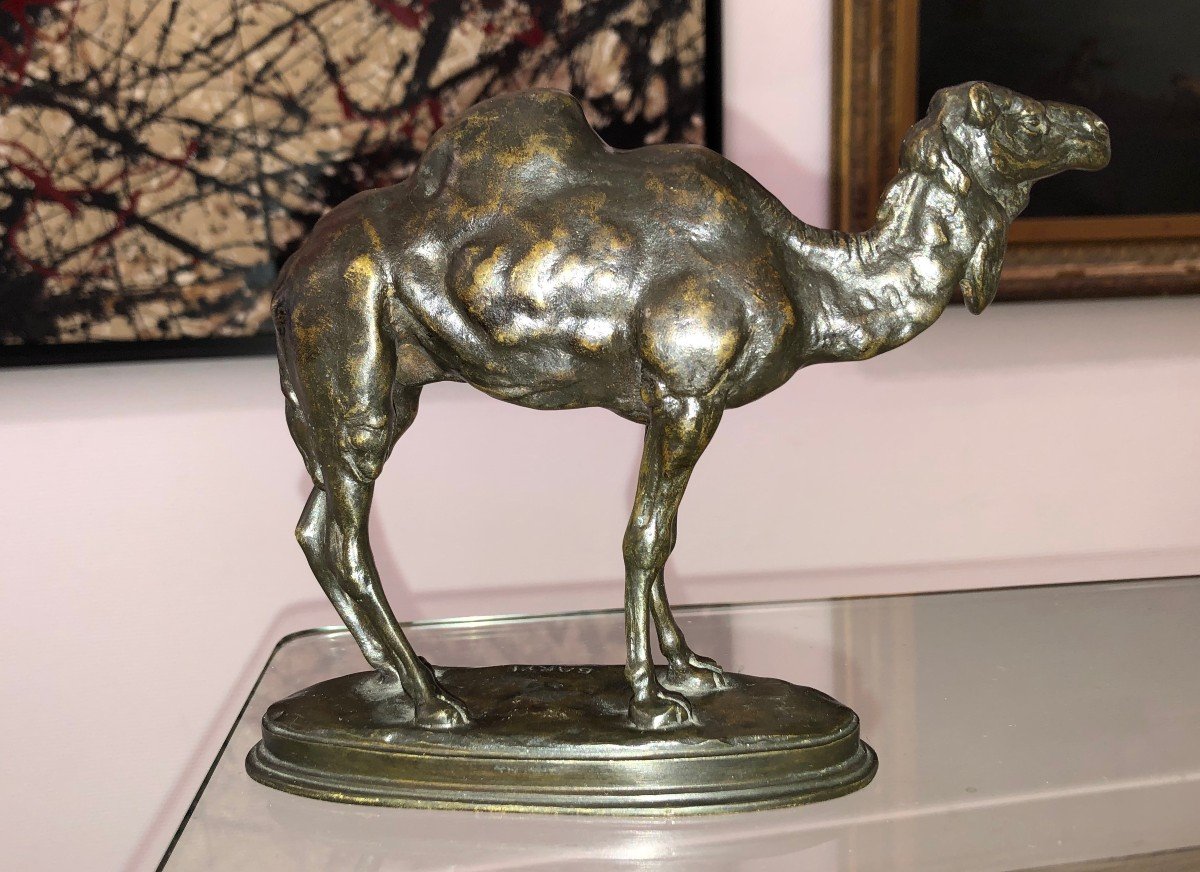 Antoine Louis Barye (1796-1875) Camel Bronze Animal Orientalism-photo-2