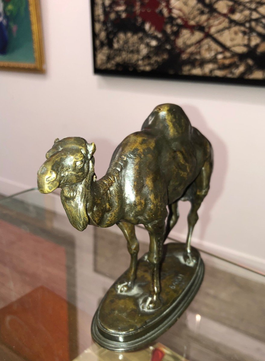 Antoine Louis Barye (1796-1875) Camel Bronze Animal Orientalism-photo-1