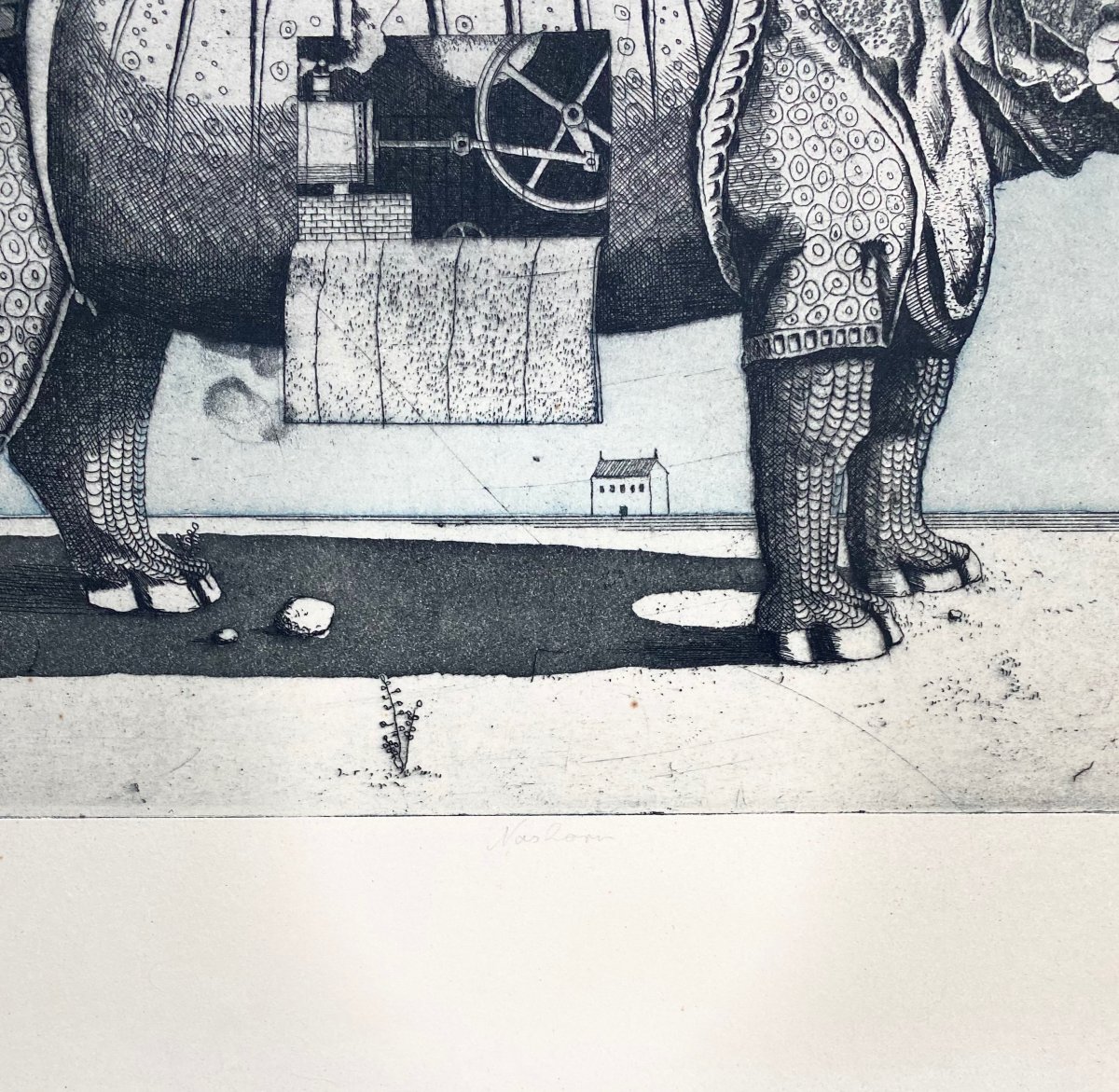 Friedrich MECKSEPER (1936-2019) Le rhinocéros Nashorn 1962 -photo-2