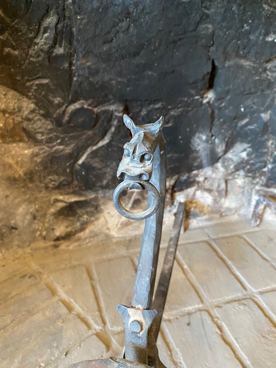 Pair Of Zoomorphic Andirons, 1950-1960-photo-3