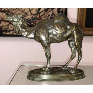Antoine Louis Barye (1796-1875) Dromadaire Bronze Animalier Orientalisme