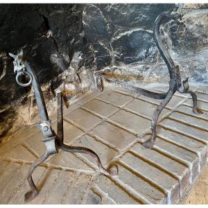 Pair Of Zoomorphic Andirons, 1950-1960