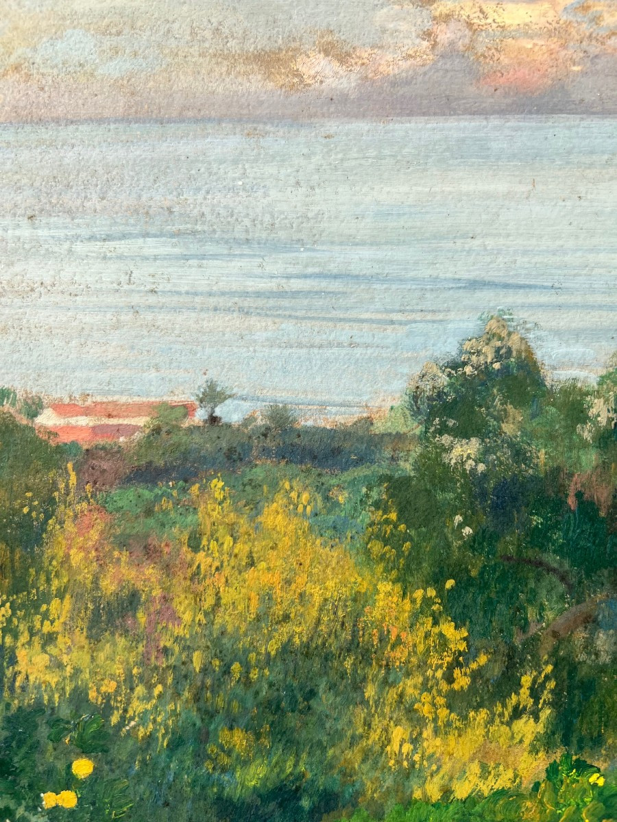 Paysage de mer en Algérie de Léon CARRÉ (1878-1942)-photo-4
