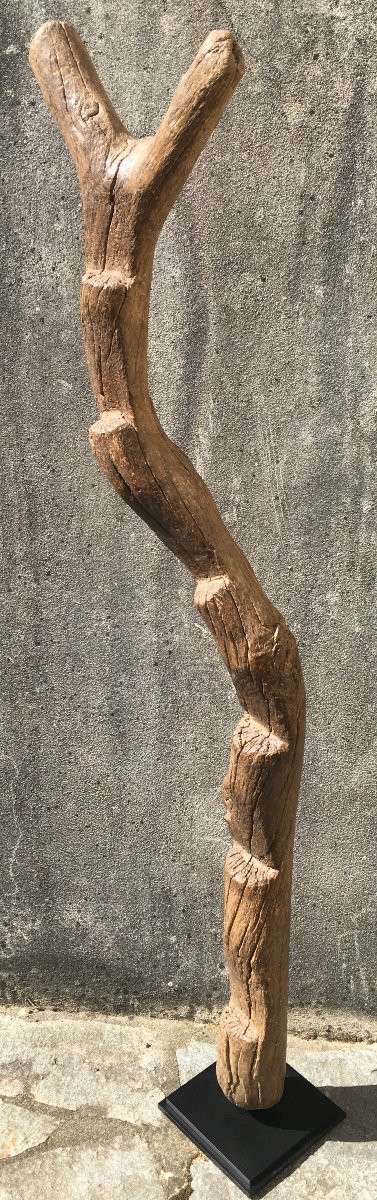 Echelle de grenier à mil en bois dur, érosion et patine d'usage. Afrique de l'Ouest. -photo-2