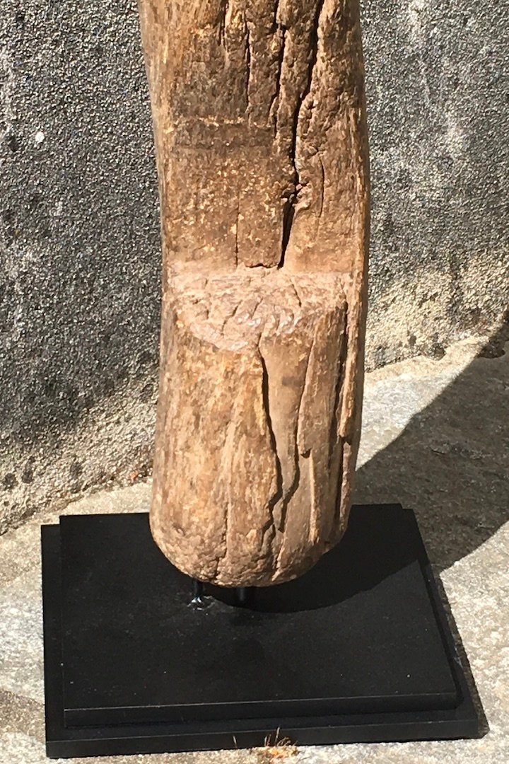Echelle de grenier à mil en bois dur, érosion et patine d'usage. Afrique de l'Ouest. -photo-4