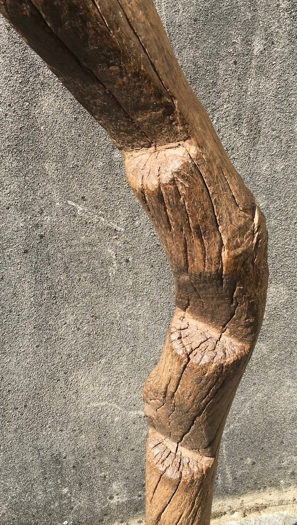 Echelle de grenier à mil en bois dur, érosion et patine d'usage. Afrique de l'Ouest. -photo-1