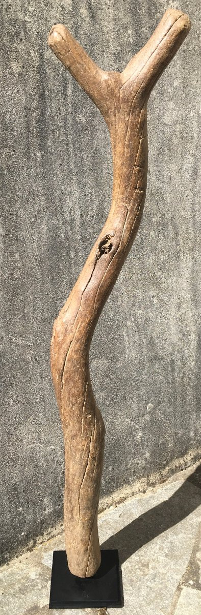 Echelle de grenier à mil en bois dur, érosion et patine d'usage. Afrique de l'Ouest. -photo-3