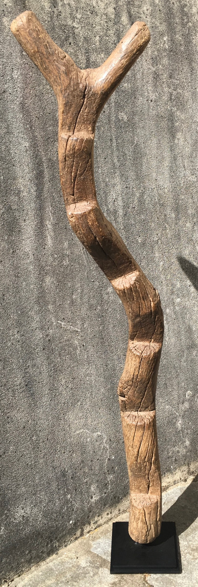 Echelle de grenier à mil en bois dur, érosion et patine d'usage. Afrique de l'Ouest. 