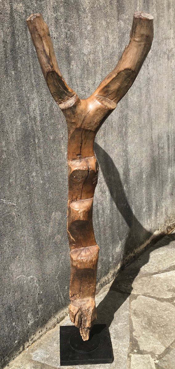 Echelle de grenier à mil en bois dur, érosion et patine d'usage. Afrique de l'Ouest.-photo-2