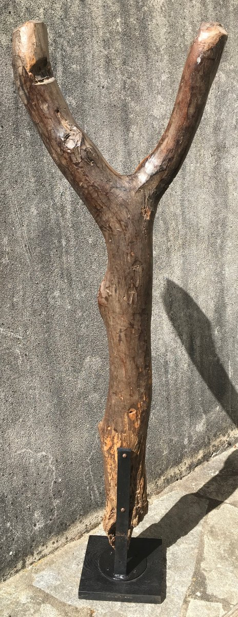 Echelle de grenier à mil en bois dur, érosion et patine d'usage. Afrique de l'Ouest.-photo-3