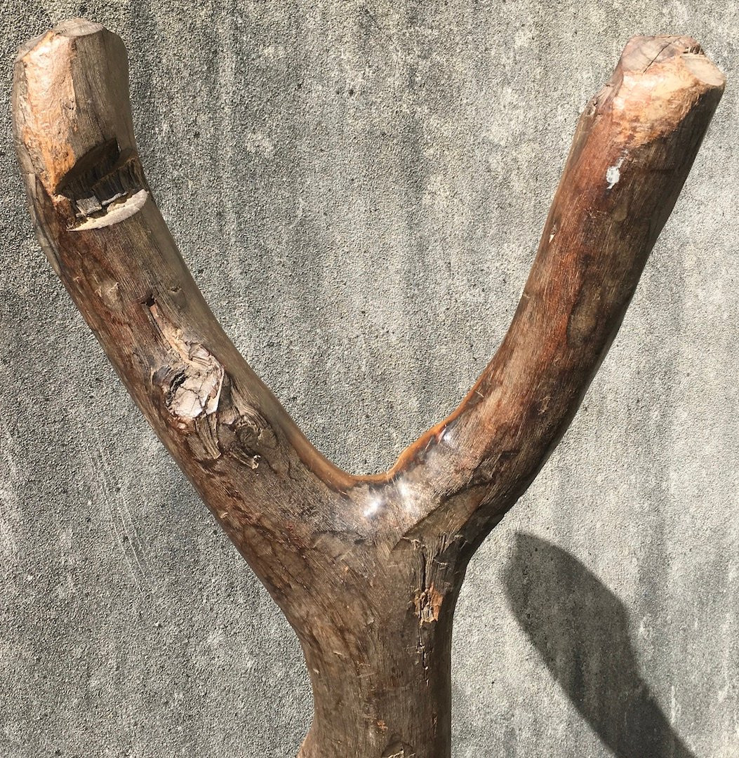 Echelle de grenier à mil en bois dur, érosion et patine d'usage. Afrique de l'Ouest.-photo-4