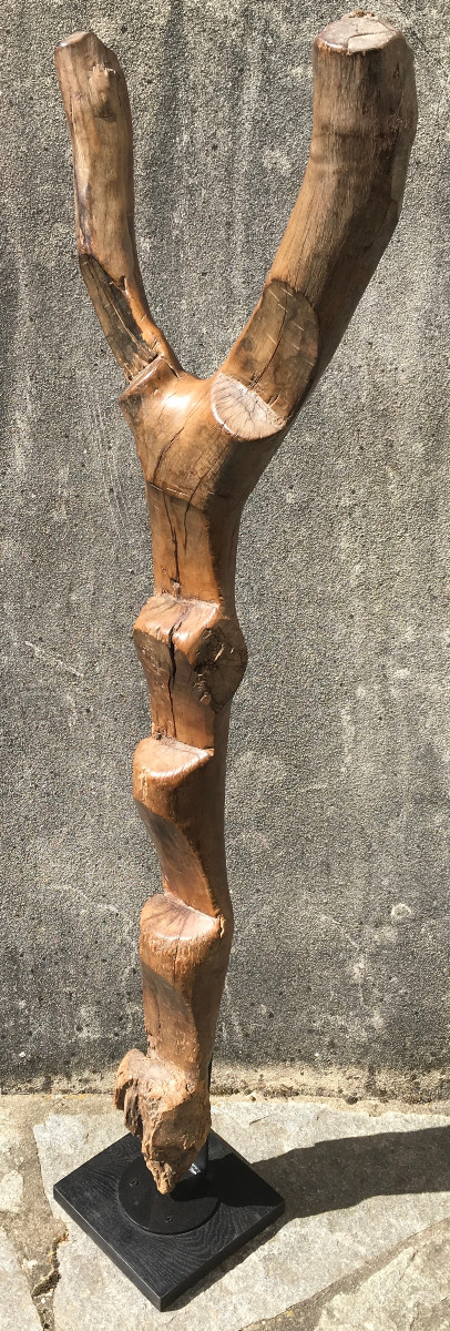 Echelle de grenier à mil en bois dur, érosion et patine d'usage. Afrique de l'Ouest.