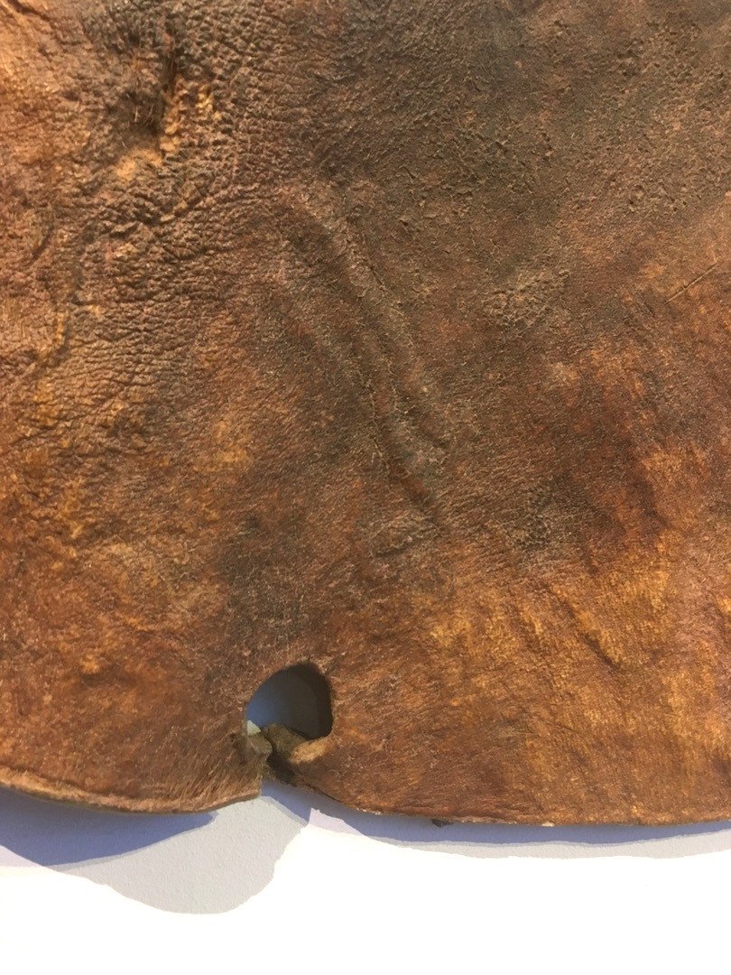 Large Bedja Skin Shield. Sudan Early 20th Century.-photo-4