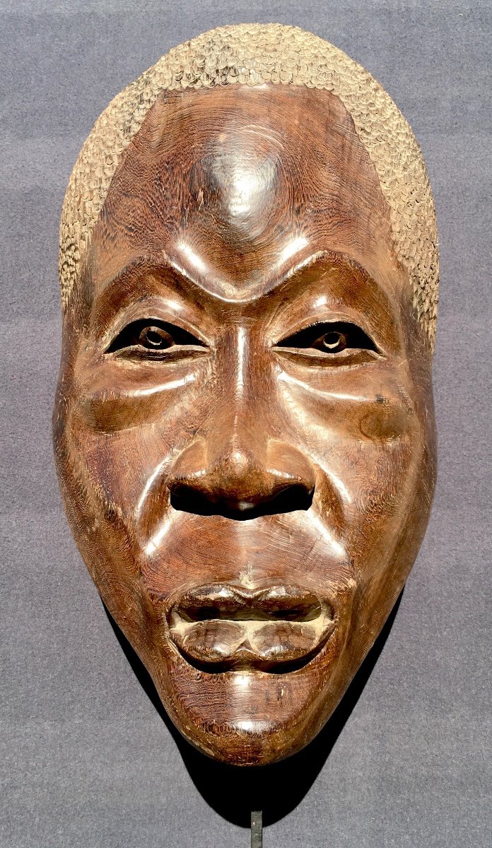 Large Africanist Mask In Wenge Wood. Congo Brazzaville Mid 20th Century.-photo-3
