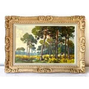 Oil On Canvas, View Of "sous-bois" Signed Julien Lacaze. Montparnasse Frame. France, 20th  Cent