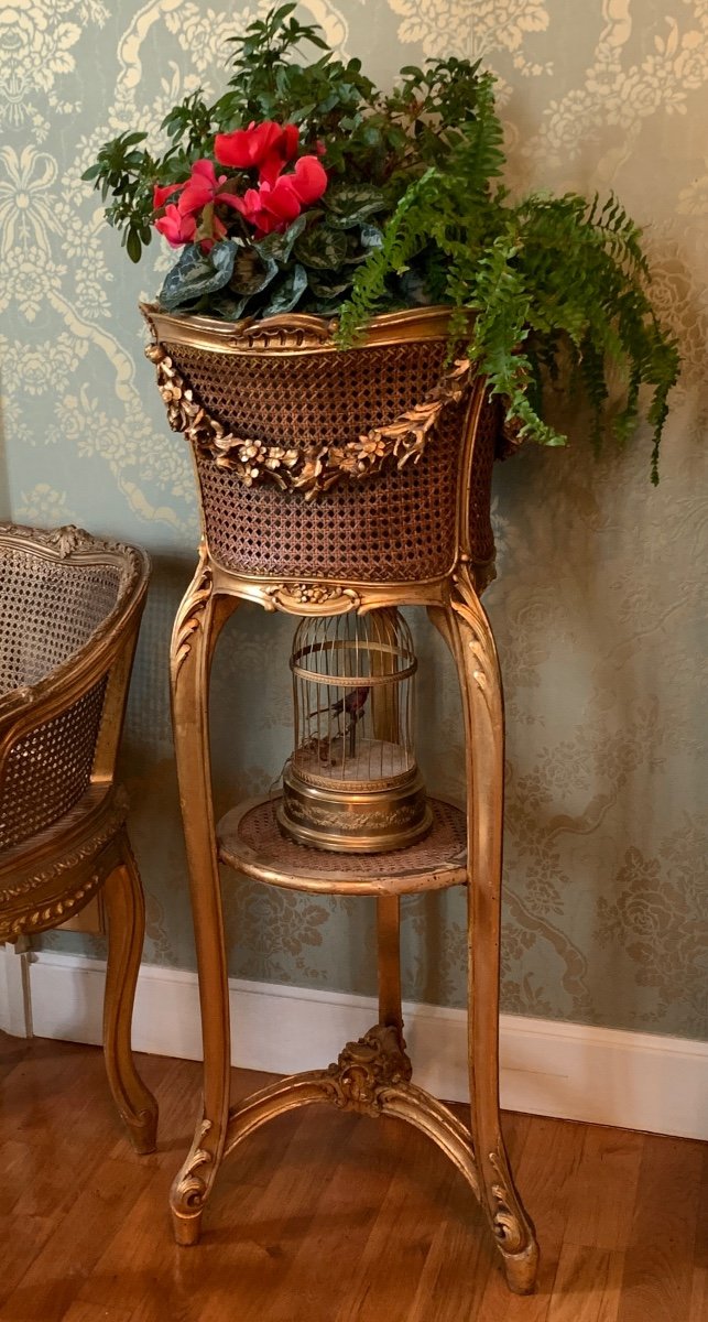 Jardinière De Style Louis XV-photo-4