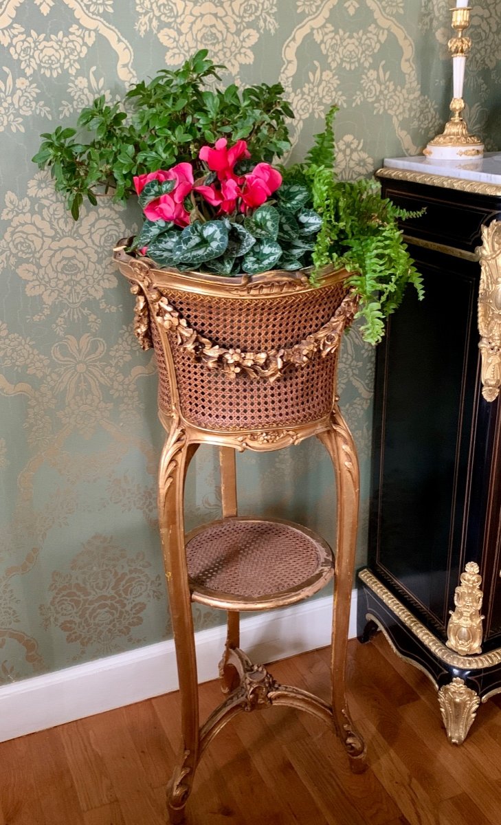 Jardinière De Style Louis XV-photo-4