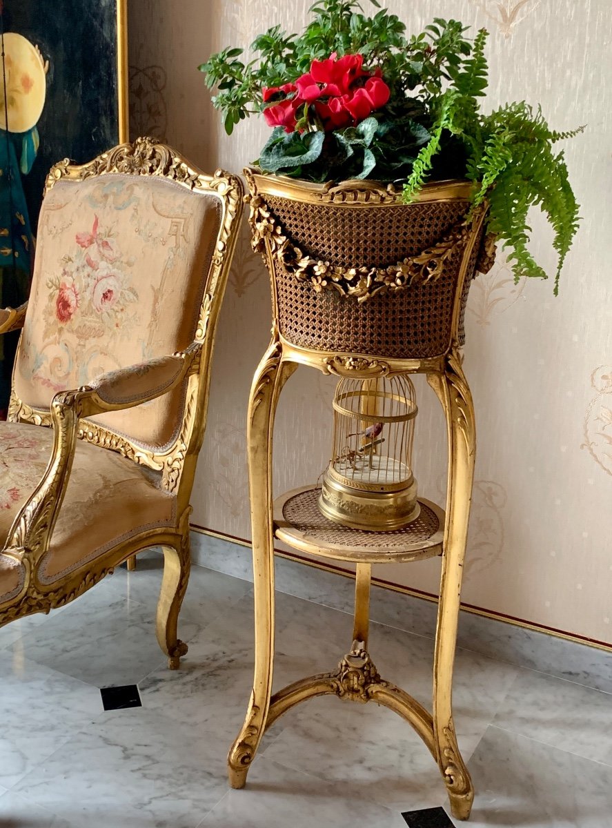 Jardinière De Style Louis XV-photo-5
