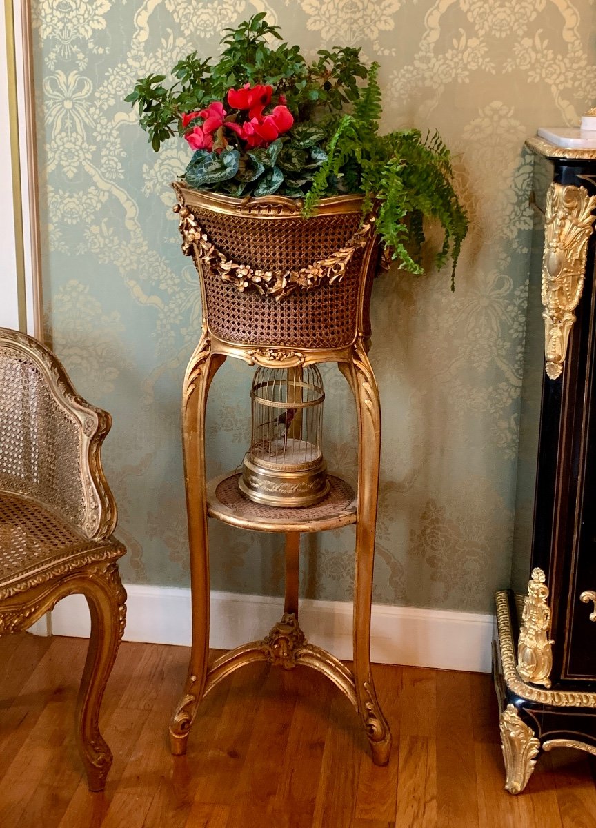 Jardinière De Style Louis XV