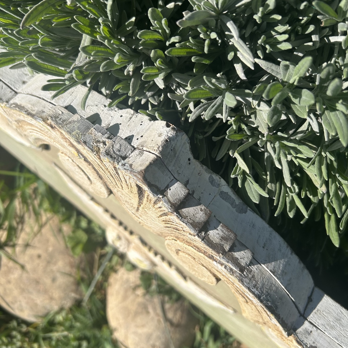 Fronton en bois sculpté et peint XIXème siècle -photo-3