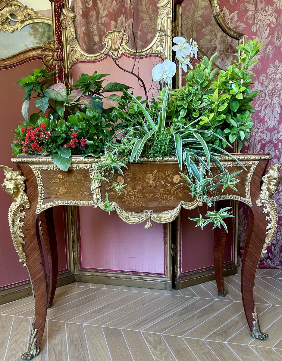 Louis XV-style All-sided Ornamental Planter, Napoleon III Period-photo-3