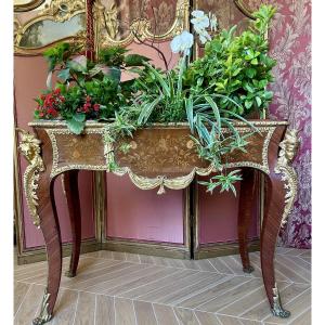 Louis XV-style All-sided Ornamental Planter, Napoleon III Period