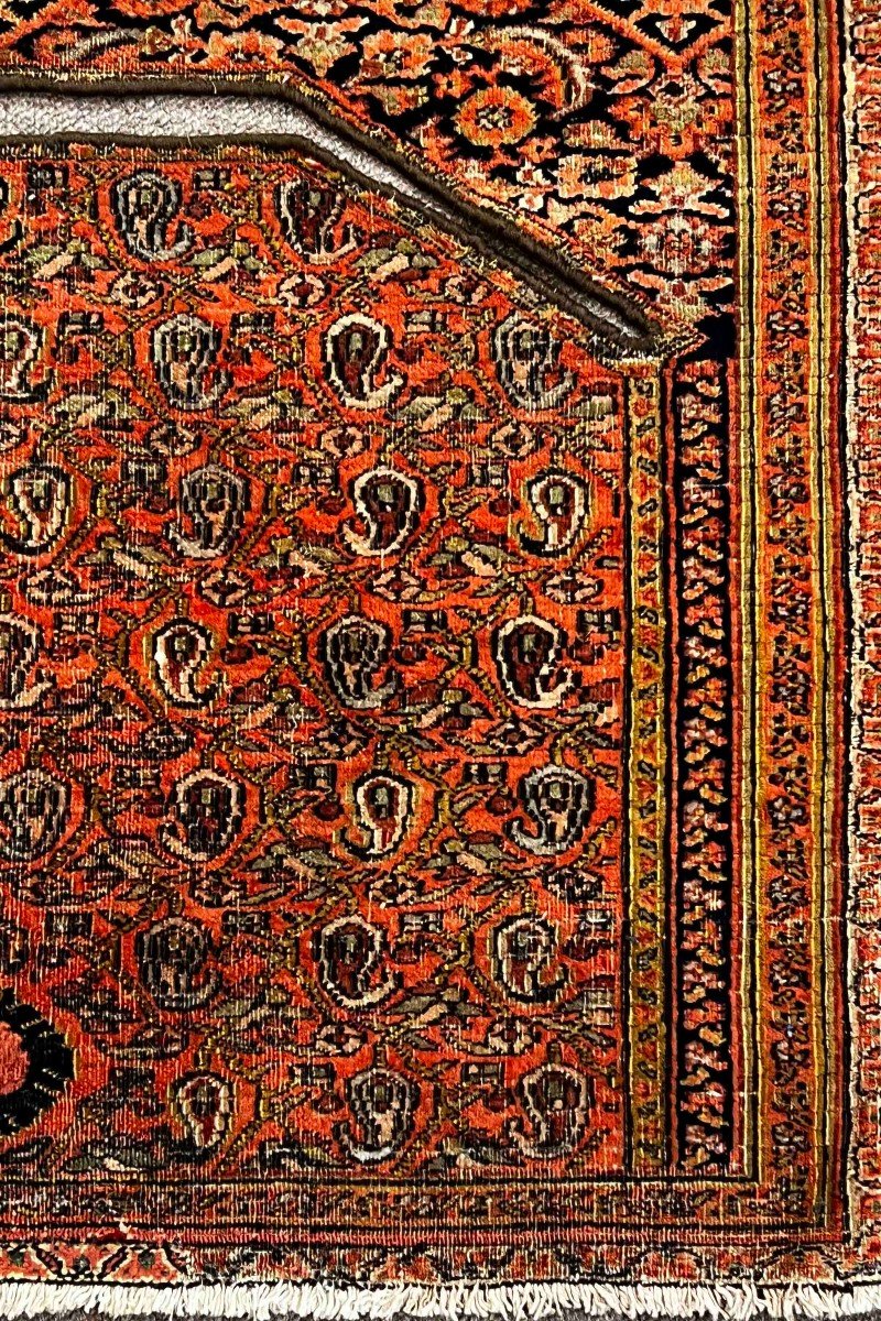 Collection Rug - Saddle Dorokhsh - 105x90, N° 214-photo-2