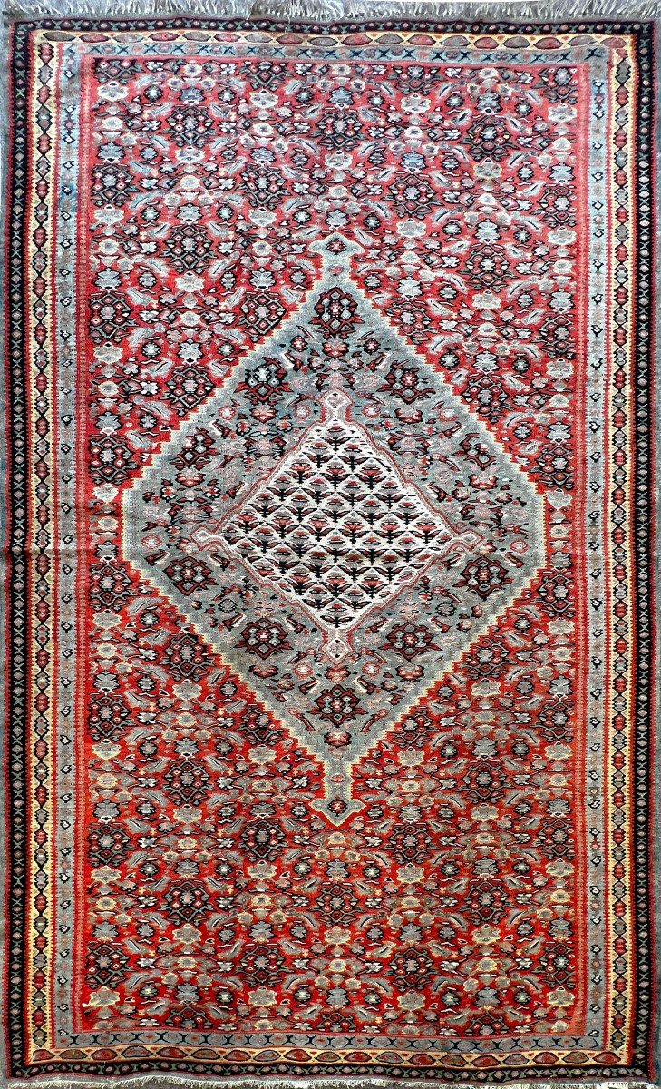 Senneh Carpet From In Kilim 19th 190 X 120 - No. 661
